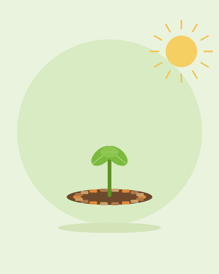 Flat illustration of a seedling ringed with mulch chips — mulching and weed control, from SeedsChoice