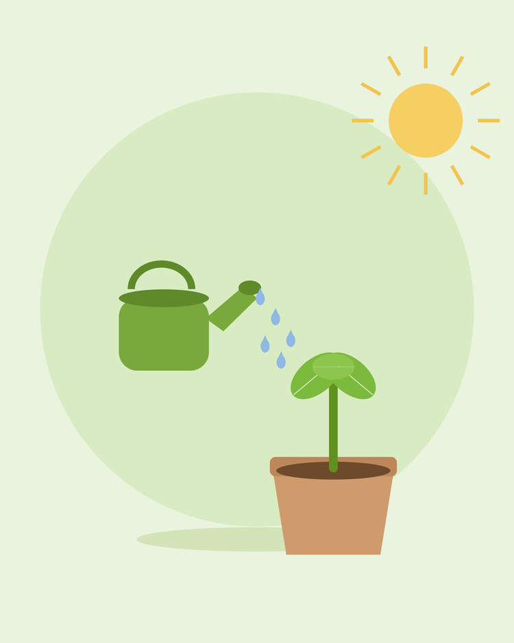 Flat illustration of a green watering can watering a potted seedling — watering your garden, from SeedsChoice