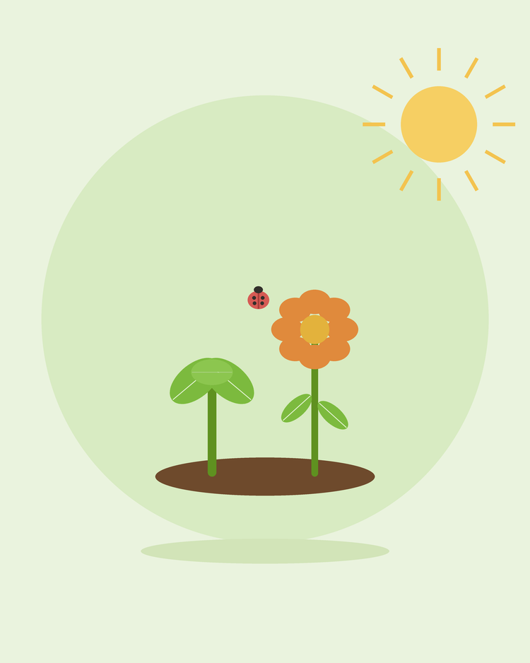 Flat illustration of a vegetable and a flower growing side by side with a ladybird — companion planting, from SeedsChoice