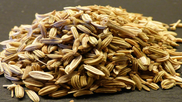 Herb Seeds – SeedsChoice