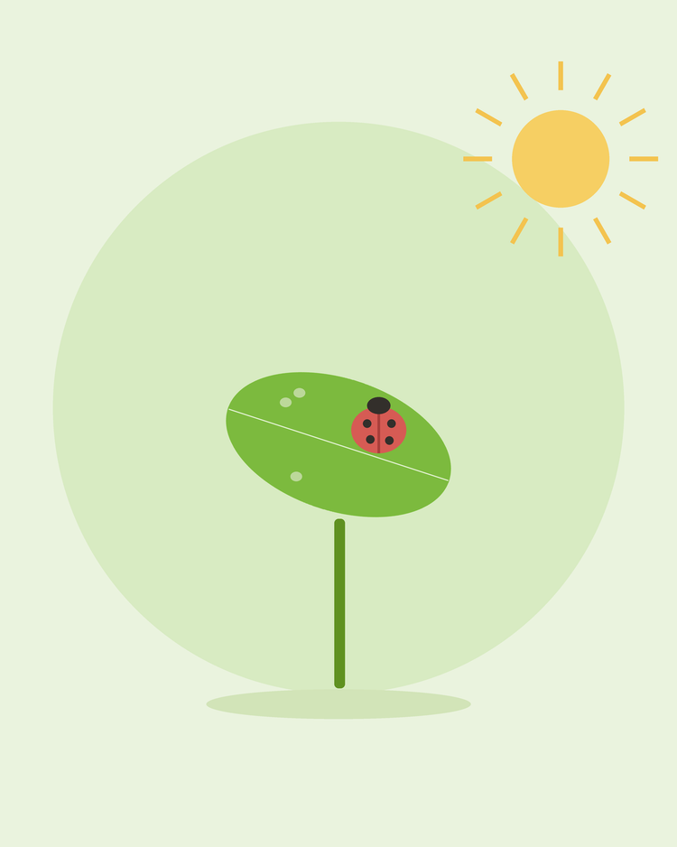 Flat illustration of a ladybird on a leaf among aphids — controlling common garden pests, from SeedsChoice