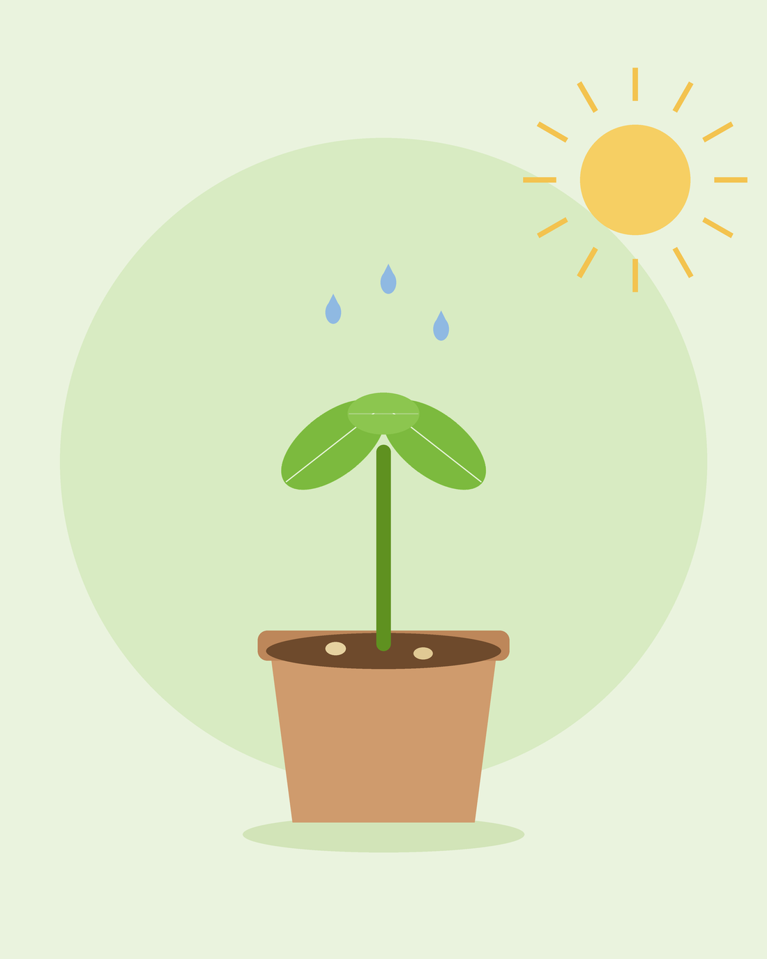 Flat illustration of a young seedling sprouting in a plant pot under the sun with water droplets — germinating seeds from SeedsChoice