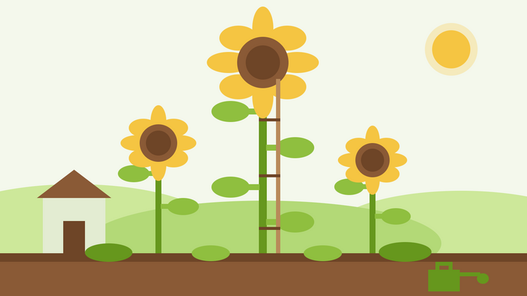 How to grow giant sunflowers — flat illustration of a towering staked sunflower beside smaller sunflowers and a garden shed for scale