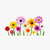 Flower Seeds – collection at SeedsChoice