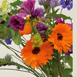 Flowers For Bees Seeds Organic Annual Mix
