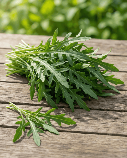 Wild Rocket Leaf Crop (Diplotaxis tenuifolia) – organic vegetable seeds from SeedsChoice