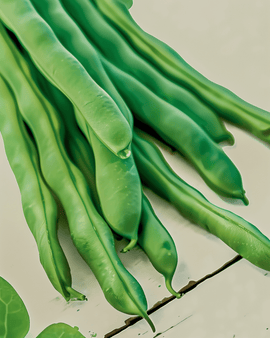 Climbing French Bean Seeds Organic Helda Phaseolus Vulgaris Annual