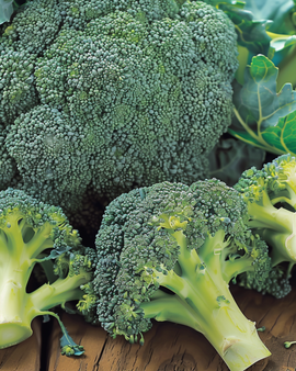 Broccoli Calabrese Natalino Seeds Brassica Oleracea Annual