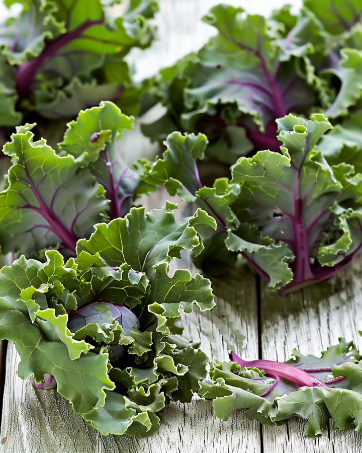 Sprouts Garden Mix F1 seeds (Brassica oleracea) – annual flower