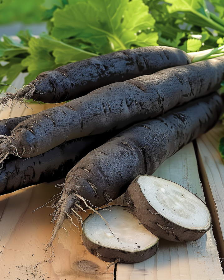 Duplex seeds (Scorzonera hispanica) – annual vegetable