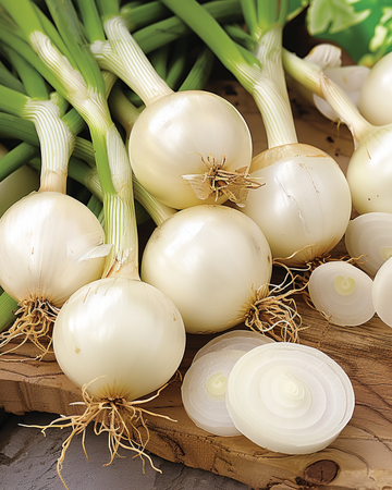 Pickling Onion seeds (Allium cepa) – annual vegetable