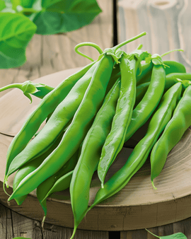 Climbing Bean Seeds Raadsheer Phaseolus Vulgaris Annual