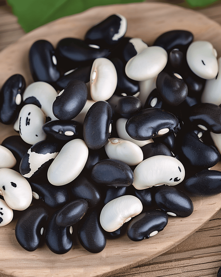 Bush Beans Yin Yang Dry Bean seeds (Phaseolus vulgaris) – annual vegetable