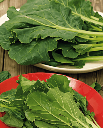 Komatsuna Mustard Spinach seeds (Brassica rapa) – vegetable