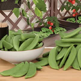 Snap Pea Seeds Delikett Pisum Sativum Annual Variety