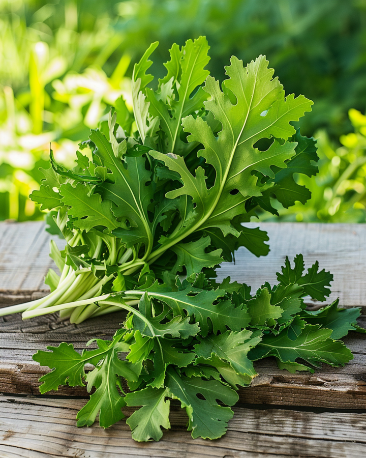 Wild Rocket seeds (Diplotaxis tenuifolia) – perennial vegetable