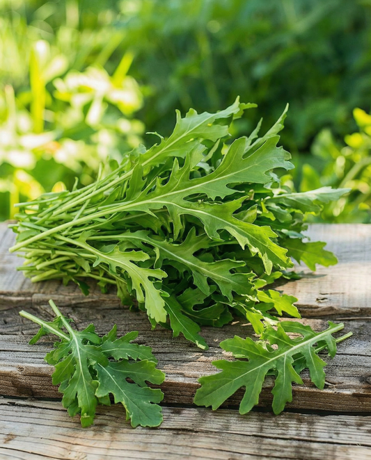 Wild Rocket (Diplotaxis tenuifolia) – perennial vegetable seeds from SeedsChoice