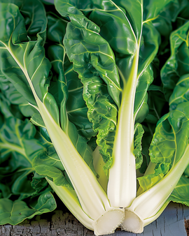 Chard Seeds Beta Vulgaris Verde A Costa Bianca Vegetable