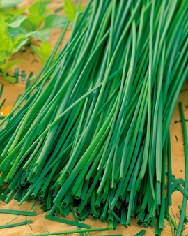 Chives Prager Seeds Allium Schoenoprasum Perennial Herb