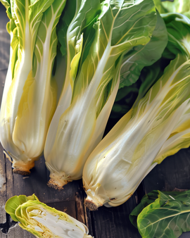 Brussels Chicory Seeds Cichorium Intybus Biennial Videna