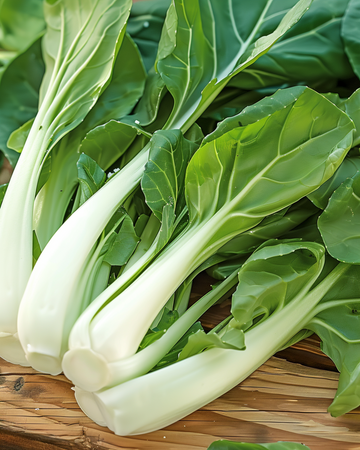 Japanese Pak Choy Taisai seeds (Brassica campestris) – annual