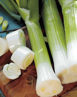 Leek Seeds Winterreuzen 3 Allium Porrum Annual Variety Winter Harvest