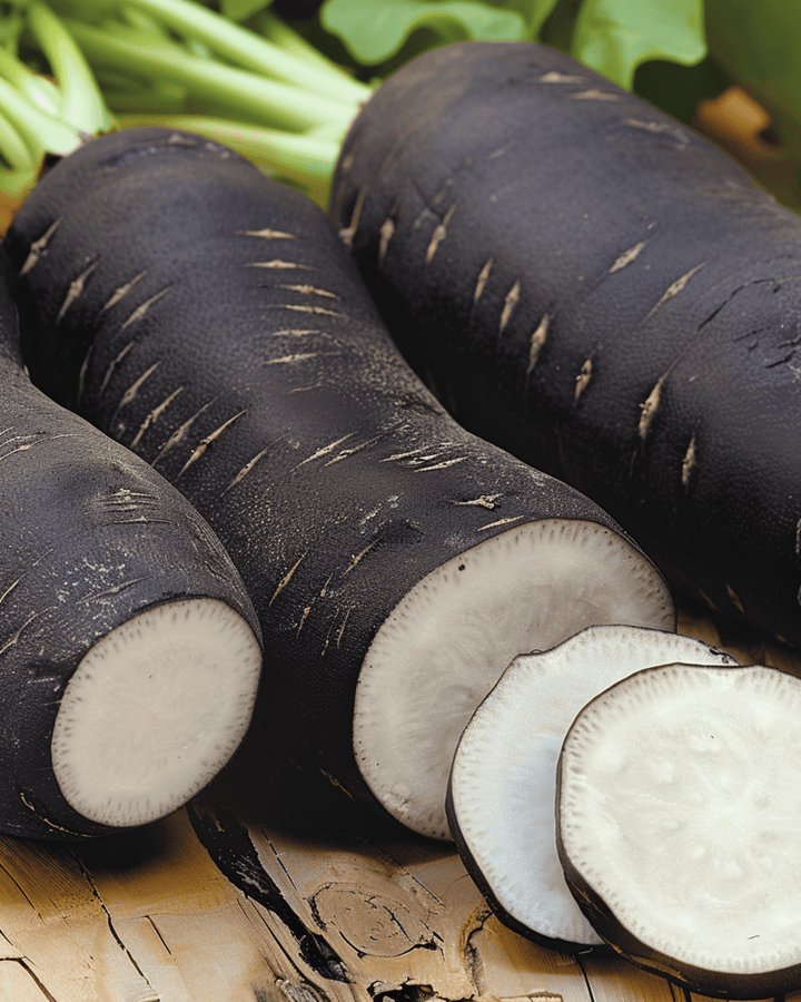 Winter Radish Noir Long Poids Dhorloge seeds (Raphanus sativus) – annual vegetable