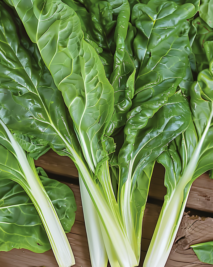 Swiss Chard Lucullus seeds (Beta vulgaris) – annual vegetable