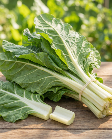 Swiss Chard Lucullus (Beta vulgaris) – annual vegetable seeds from SeedsChoice