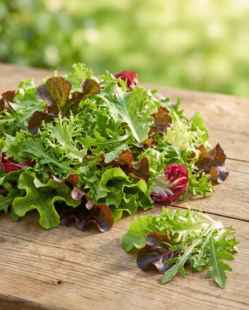 French Salad Mesclun – organic annual mix seeds from SeedsChoice