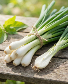 Bunching Onion Seed Tape Allium Cepa Annual 7.5 M White Lisbon