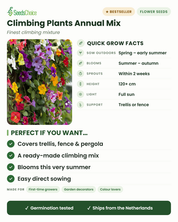 Climbing Plants Annual Mix quick grow facts: direct sow in spring, blooms summer to autumn, height 120+ cm, full sun, trellis or fence support — a ready-made mix to cover trellis, fence and pergola
