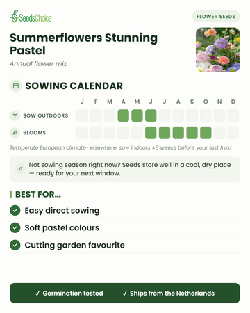 Sowing calendar for Summerflowers Stunning Pastel in a temperate European climate: direct sow April to June, blooms June to October; seeds store well until the next sowing season